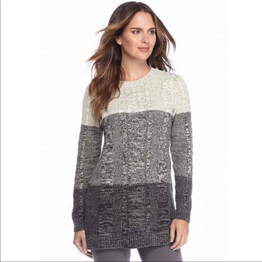 Jeanne Pierre Colorblocked Ombré Fisherman Tunic Sweater